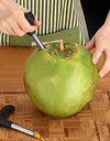 Coconut Opener Bundle Drill Cutter Cleaning Stick Tap Hot