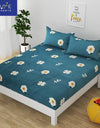 Snooze Glace Cotton Elastic Fitted King Size Bedsheet